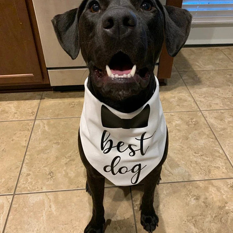 Best Dog of Honor Bandana
